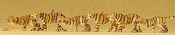 Preiser 79714 Circus Tigers (6) Figure Set N Gauge