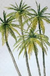 Preiser 18600 Palm Trees (4) Kit HO