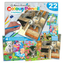 Royal & Langnickel Colour Pencil by Numbers Animals Box Set AVS-CPN219