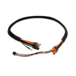 Spektrum Pro Series Race 2s Charge Cable: IC3/5mm SPMXCA329