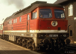 Arnold DR BR132 483-9 Diesel Locomotive IV (DCC-Sound) HIN2599S N Gauge