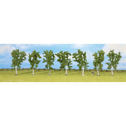 NOCH Birch (7) Classic Economy Trees 10cm HO Gauge Scenics 25096