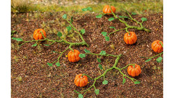 FALLER Pumpkins (6) HO Gauge Scenics 181258