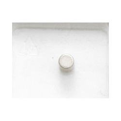 NSR Super Neodymium Magnet Round 4mm Thickness (2) NSR4827