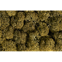 NOCH Stone Grey Lichen (35g) HO Gauge Scenics 08600
