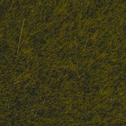 NOCH Meadow Wild Grass 6mm (50g) HO Gauge Scenics 07100