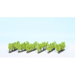 NOCH Vines (24) Profi Trees (24) 1.6cm HO Gauge Scenics 21545