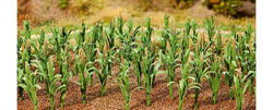 FALLER Maize Plants 25mm (36) HO Gauge Scenics 181250