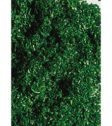 FALLER Forest Green Scatter Material (30g) HO Gauge 170703