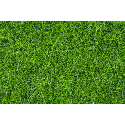 NOCH Dark Green Wild Grass 6mm (100g) HO Gauge Scenics 07094