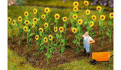 FALLER Sunflowers (16) HO Gauge Scenics 181256
