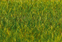 FALLER Dark Green Grass 6mm Premium Ground Cover Fibres (30g) HO Gauge 180485