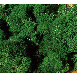 Heki 3211 Standard Lichen Dark Green 5546775