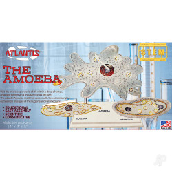 Atlantis Models Amoeba Single Cell Model Kit STEM CL3800