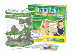 Insect Lore Living Twig Stick Insect Kit Growing Kit with Voucher