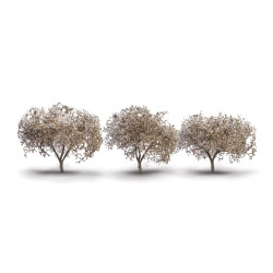 Woodland Scenics TR3594 1¾"- 2¼" Cherry Blossom Trees (3/Pk)