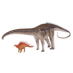 Natural History Museum Diplodocus & Kentrosaurus Dinosaur 1:40 Toy Model