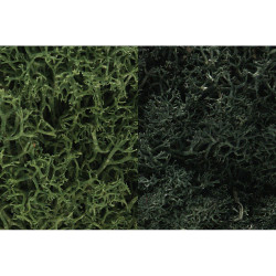 Woodland Scenics L168 Dark Green Mix Lichen