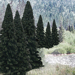 Woodland Scenics TR1585 2"-4" Ready Made Evergreen Value Pack (18/Pk)