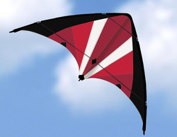 Gunther Power Move - Stunt kite G1070