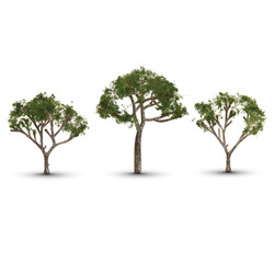 Woodland Scenics TR3525 Gum Tree 2 1/2” – 3 1/2”