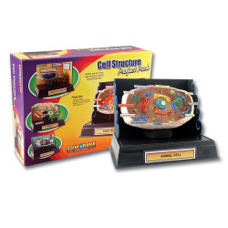 Scene-A-Rama Cell Structure Project Pack WSP4283