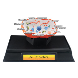 Scene-A-Rama Cell Structure Class Pack WSP4253