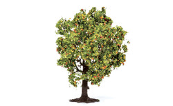 Hornby R7213 Apple Tree (with Fruit) OO Gauge