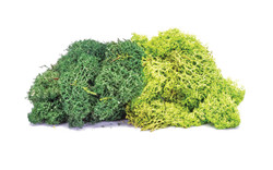 Hornby R7195 Lichen - Large Green Mix OO Gauge
