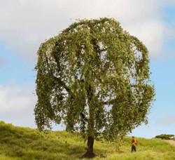 Noch Weeping Willow Master Tree 15cm N20115
