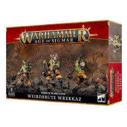 Games Workshop Warhammer Age of Sigmar Orruk Warclans: Weirdbrute Wrekkaz 89-82