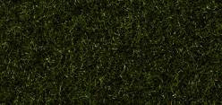 Noch Marshy Soil Scatter Grass 2.5mm (100g) Multi Scale 50200