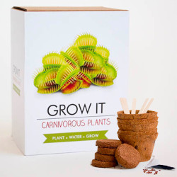 Gift Republic Carnivorous Plants Grow It - Ideal Gift
