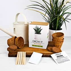 Gift Republic Air Filtering Grow It - Ideal Gift