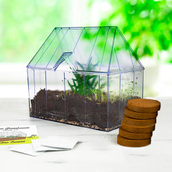 Gift Republic Mini Greenhouse Grow Kit - Ideal Gift