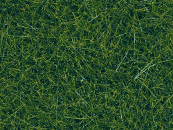 Noch Dark Green Wild Grass 9mm (50g) N07120