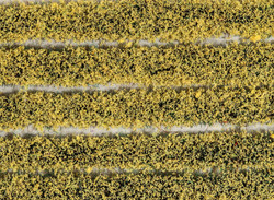 PECO PSG-21 Daffodil Tuft Strips 4mm High Self Adhesive