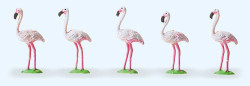 Preiser 20372 Circus Flamingos (5) Figure Set HO