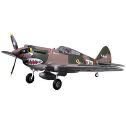 FMS 980mm P-40B Flying Tiger ARTF RC Plane w/Reflex FMS075P-REFV2