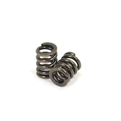 FTX Outback Hi-Rock Slipper Spring (2) FTX9289