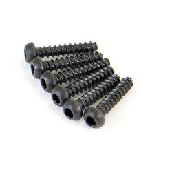 FTX Round Head Self Tapping Hex Screw 6Pcs2*10 FTX6519