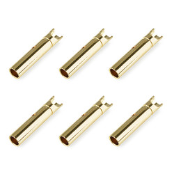 Corally Bullit Connector 2.0mm Female Gold Plated Ultra Low Resistance 6Pcs