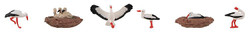 Faller Storks & Nests (6) Figure Set FA151908 HO Gauge