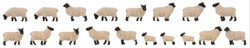 Faller Sheep Black Head/White Fleece (18) Figure Set FA151918 HO Gauge