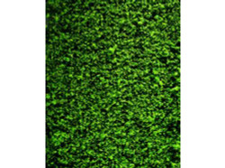 FALLER Mid Green Foliage Material 250x120mm HO Gauge Scenics 181392