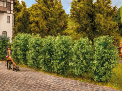 Noch Thuja Hedge 3cm (12)  N21547