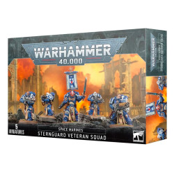 Games Workshop Warhammer 40k Space Marines: Sternguard Veteran Squad 48-49