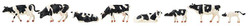 Faller Cows Black/White (8) Figure Set FA151904 HO Scale