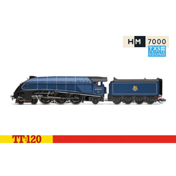 Hornby TT:120 BR Class A4 Class 4-6-2 60025 'Falcon' Digital Era 4 SF TT3009TXSM