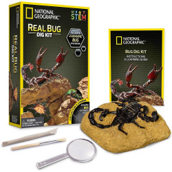 National Geographic Real Bug Dig Kit STEM Toy Age 8+